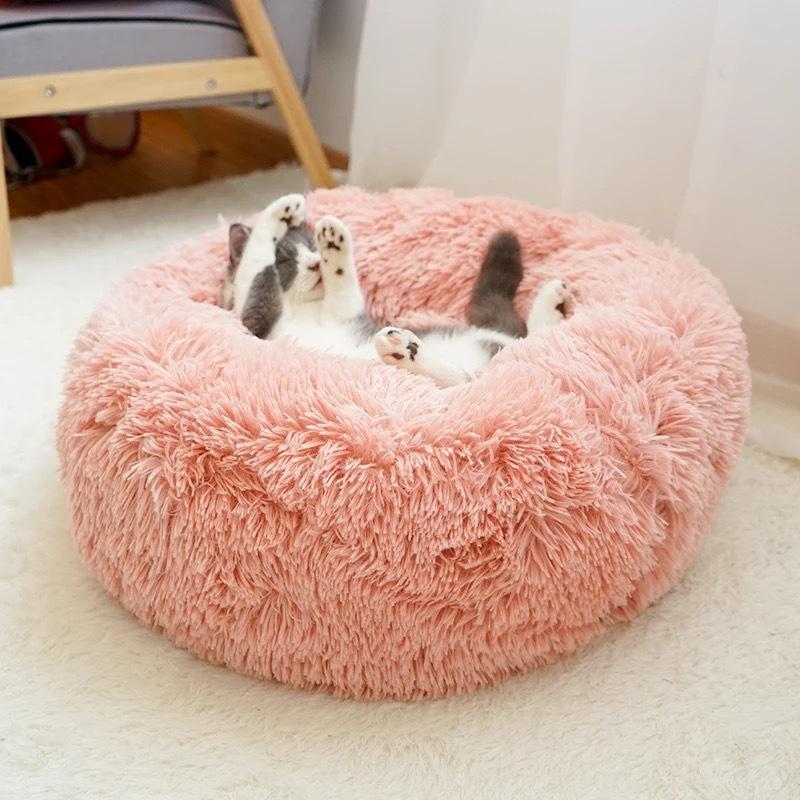 Cama Confortável para Cães e Gatos - Click Compre