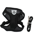 Coleira Peitoral para Gatos - Click Compre