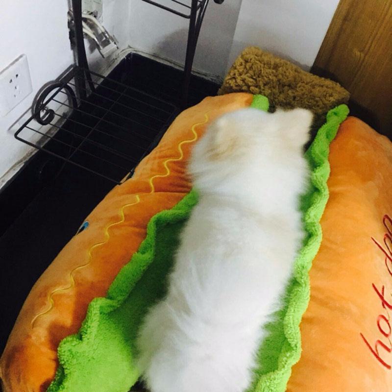 Cama para Pets - Hot Dog - Click Compre