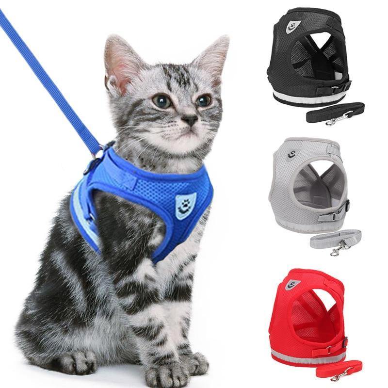 Coleira Peitoral para Gatos - Click Compre