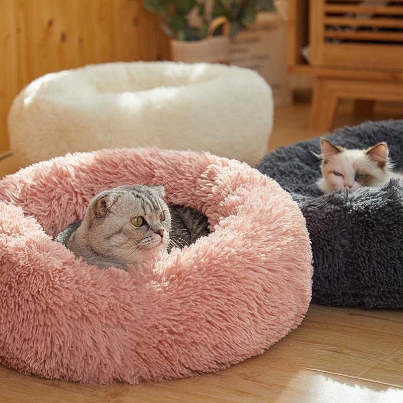 Cama Confortável para Cães e Gatos - Click Compre