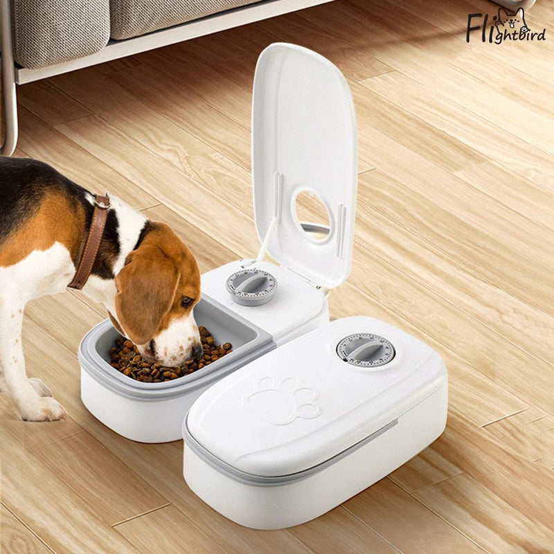 Dispenser de Comida Automático Inteligente | Para Cães e Gatos - Click Compre