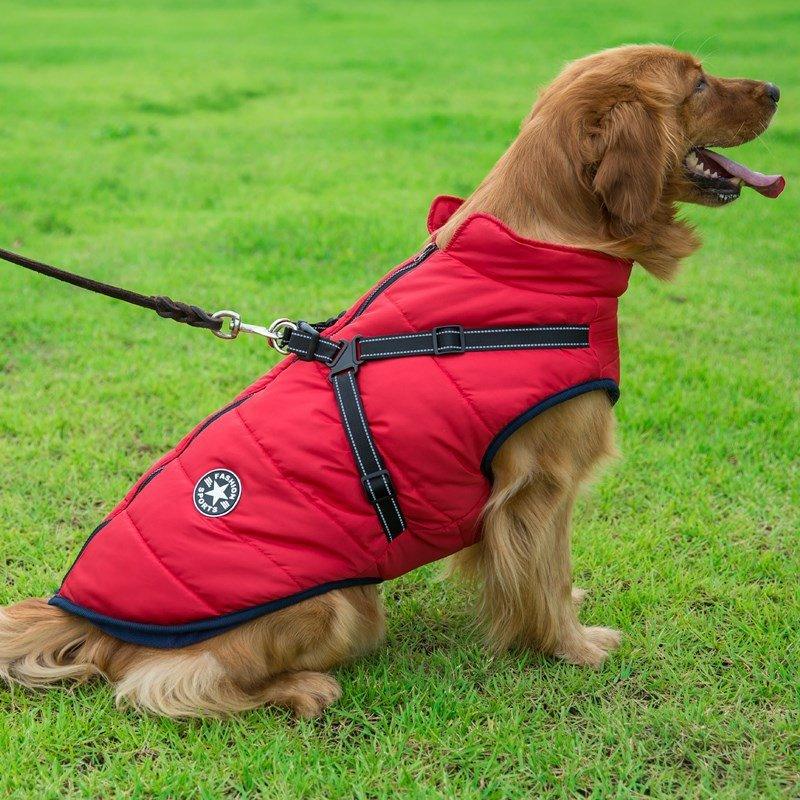 Colete Corta-Vento Pet Jones™ | Roupa Para Cachorro - Click Compre