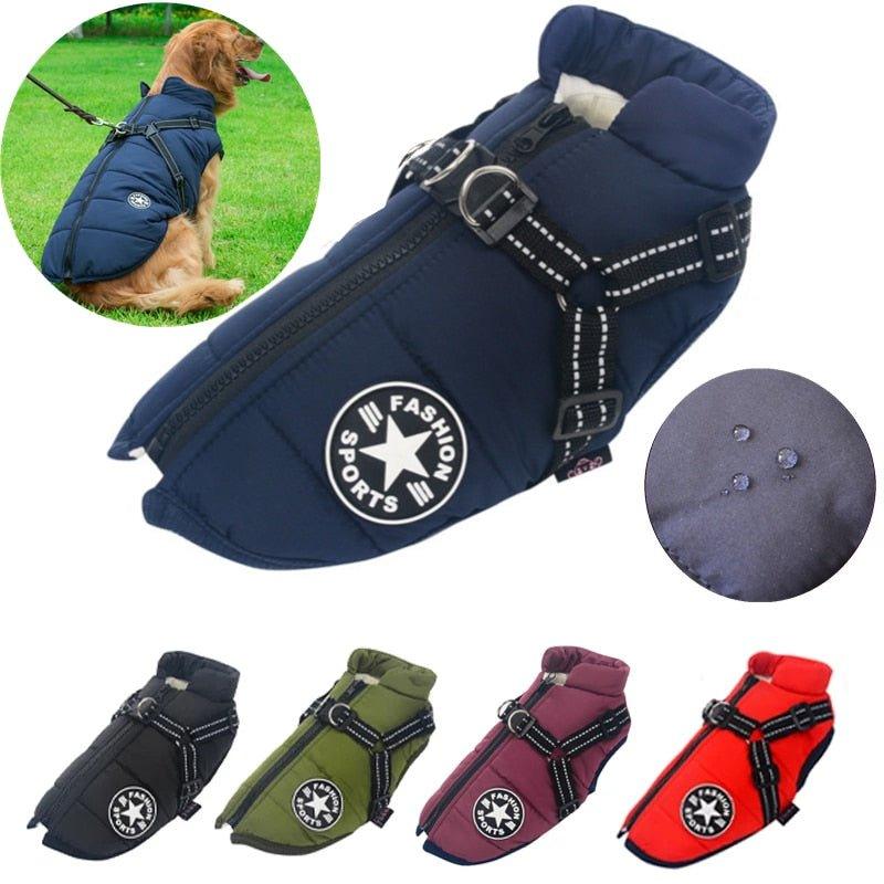 Colete Corta-Vento Pet Jones™ | Roupa Para Cachorro - Click Compre