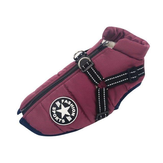 Colete Corta-Vento Pet Jones™ | Roupa Para Cachorro - Click Compre