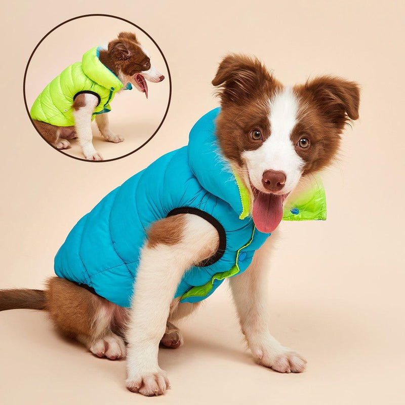 Colete Pet Alby™ Dupla-Face 3 Camadas | Roupa Para Cachorro - Click Compre