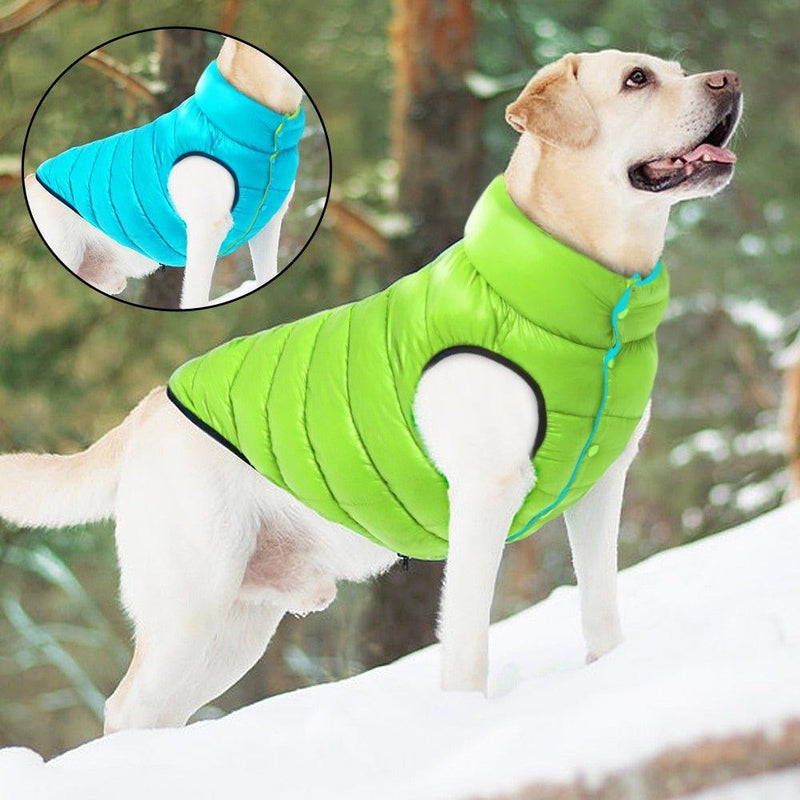 Colete Pet Alby™ Dupla-Face 3 Camadas | Roupa Para Cachorro - Click Compre