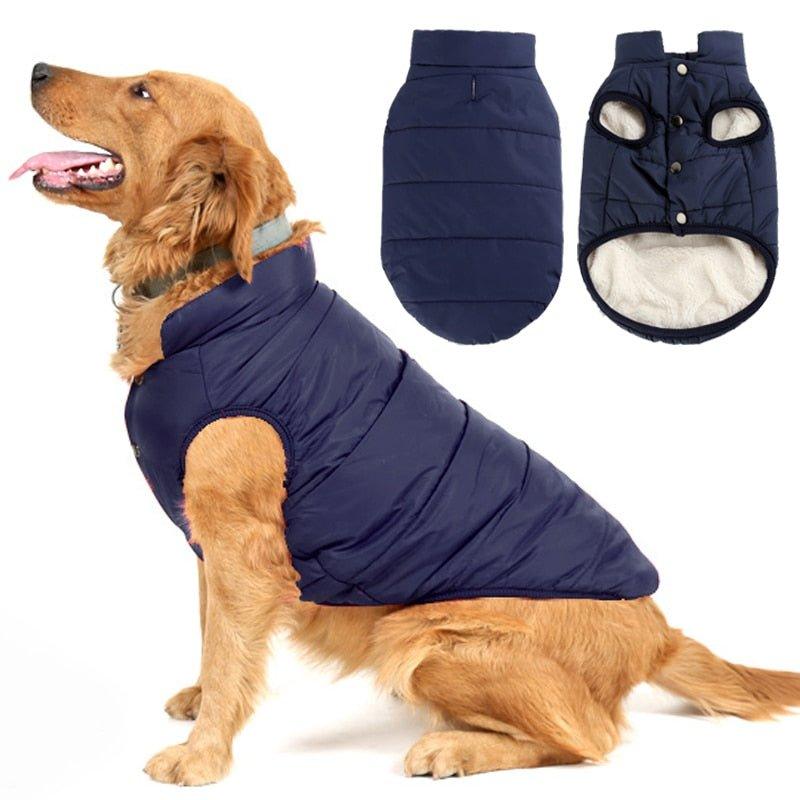 Colete Pet Steve™ | Roupa Para Cachorro - Click Compre