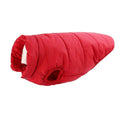 Colete Pet Steve™ | Roupa Para Cachorro - Click Compre