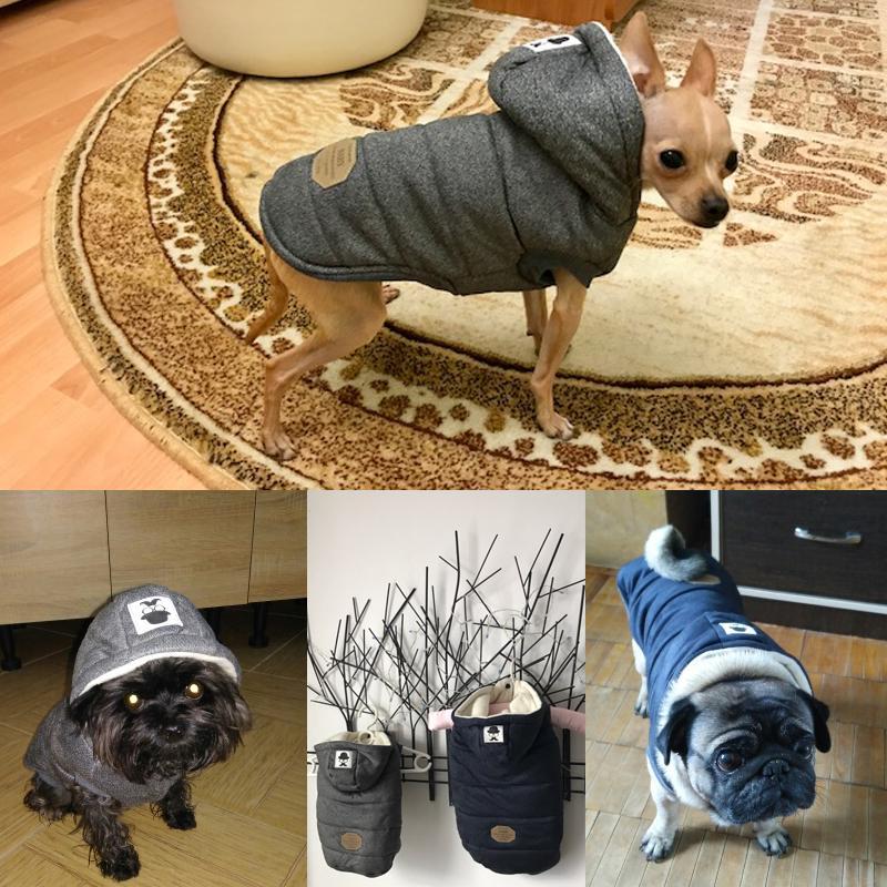 Colete de Inverno para Cachorros | Gentleman - Click Compre