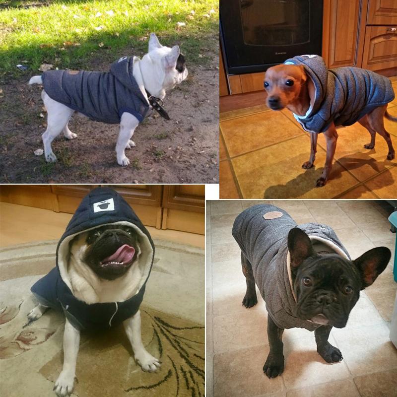 Colete de Inverno para Cachorros | Gentleman - Click Compre