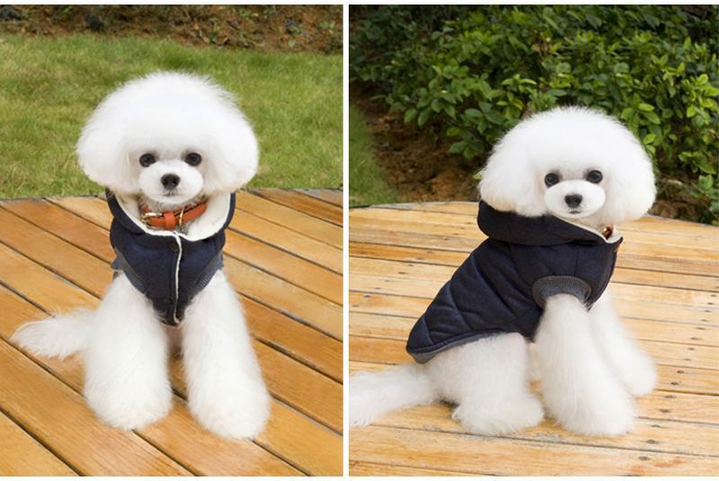 Colete de Inverno para Cachorros | Gentleman - Click Compre